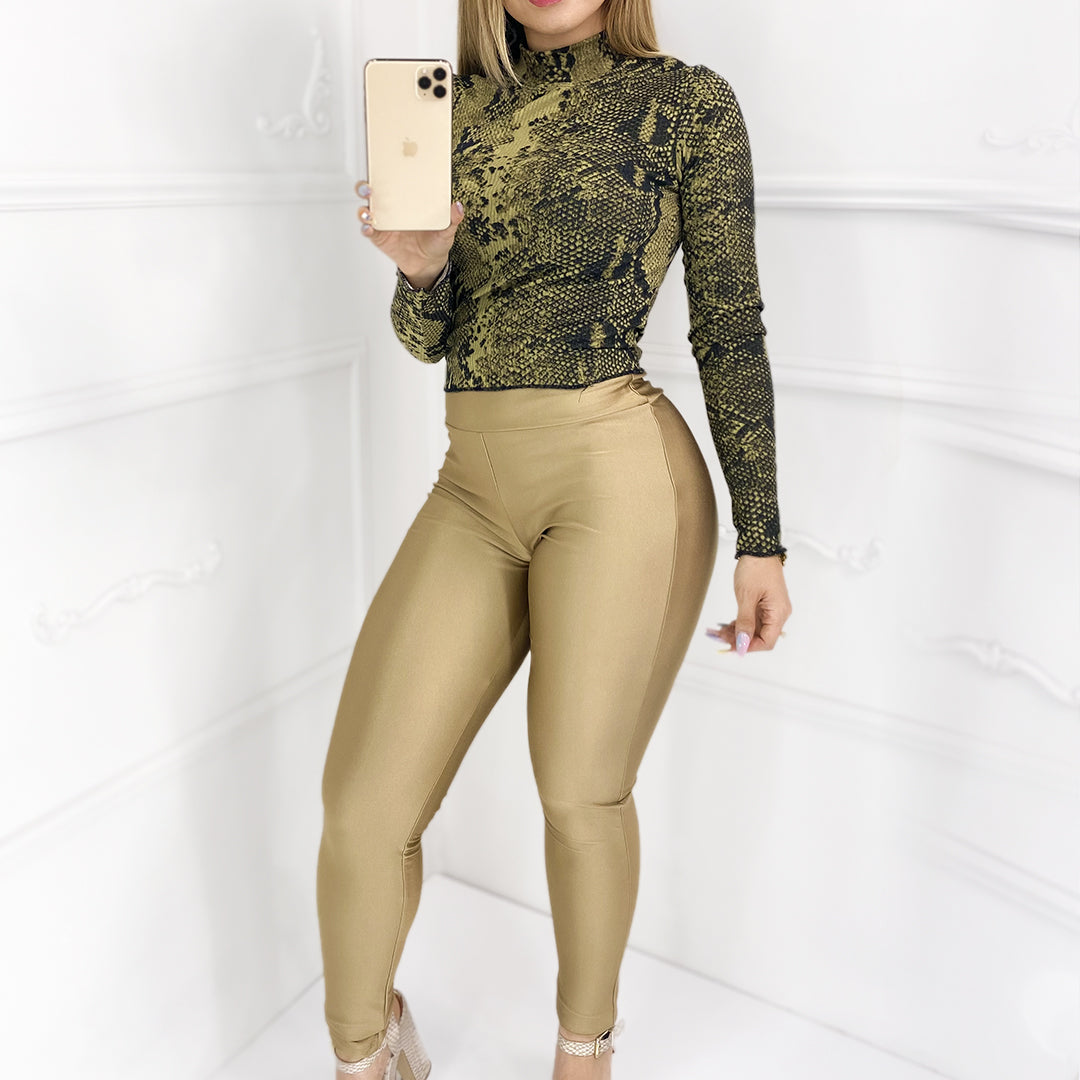 CONJUNTO MODELO CN02