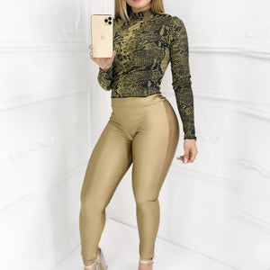 CONJUNTO MODELO CN02