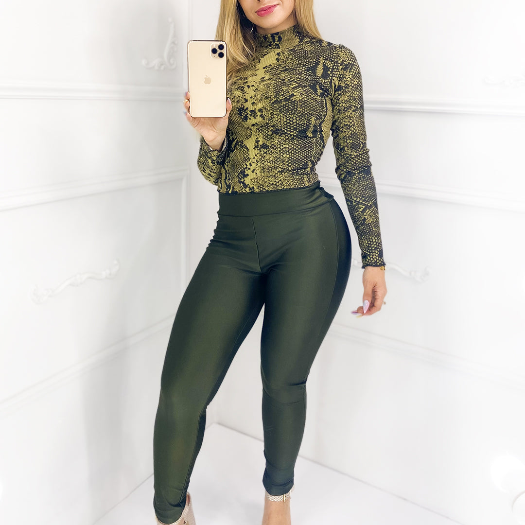 CONJUNTO MODELO CN02
